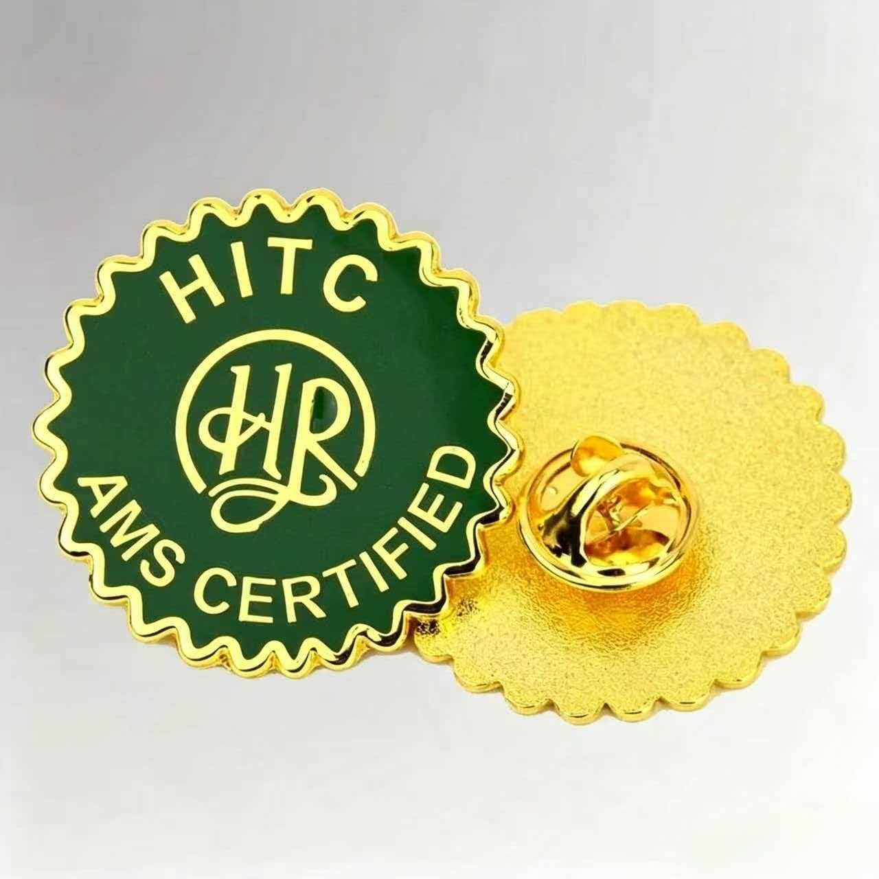 Custom Soft Enamel Awards and Recognition Pins