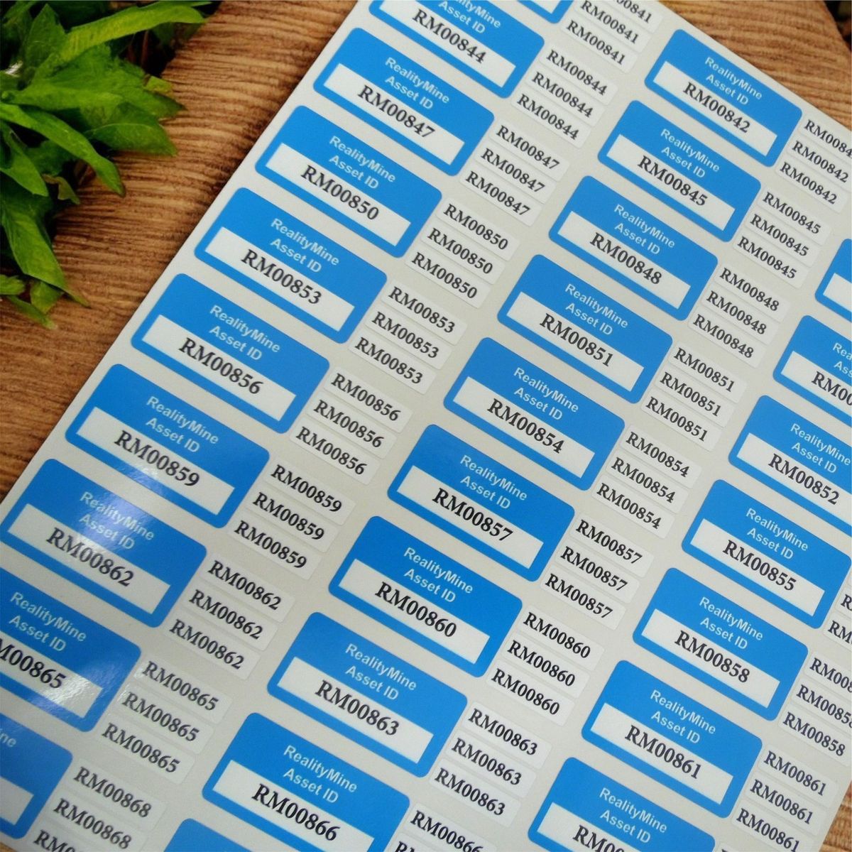 sheet labels1